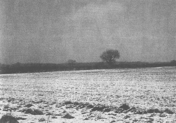Ричард III и битва при Босворте Ричард III и битва при Босворте