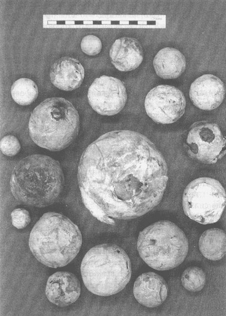 Ричард III и битва при Босворте Ричард III и битва при Босворте