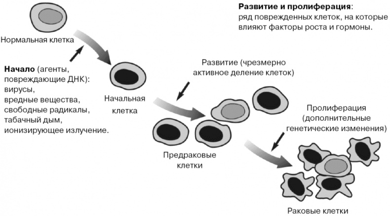Антирак груди Антирак груди