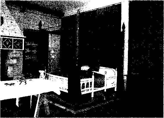 Английский дом. Интимная история Английский дом. Интимная история