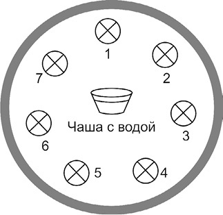 7 минут в день, чтобы желание сбылось 7 минут в день, чтобы желание сбылось