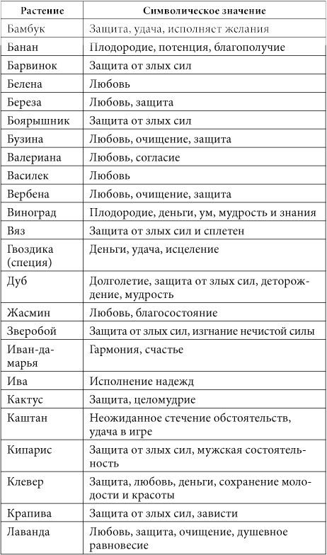 7 минут в день, чтобы желание сбылось 7 минут в день, чтобы желание сбылось