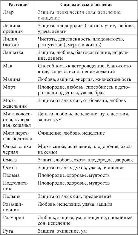 7 минут в день, чтобы желание сбылось 7 минут в день, чтобы желание сбылось
