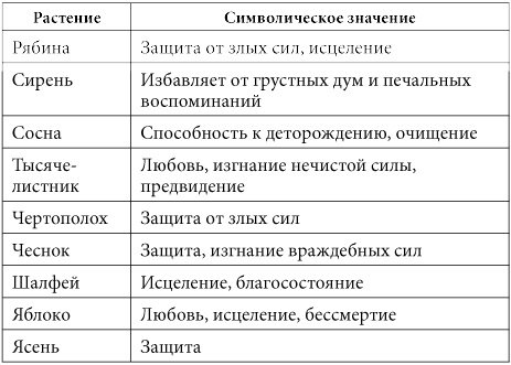 7 минут в день, чтобы желание сбылось 7 минут в день, чтобы желание сбылось