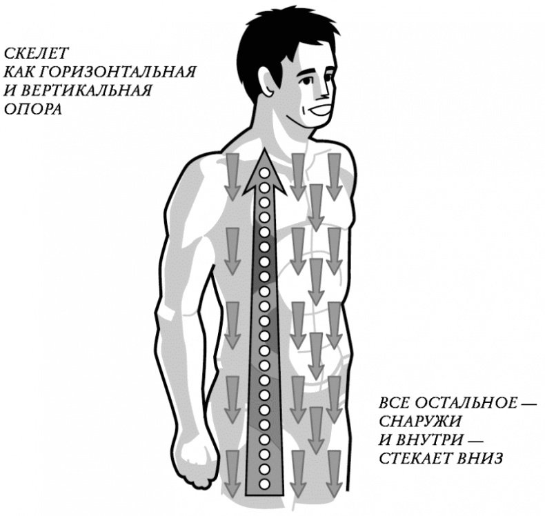 Бесконечность жизни, или Лекарство от старости Бесконечность жизни, или Лекарство от старости