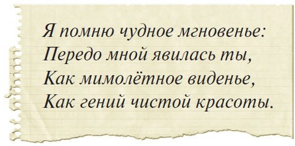 Боцман, бурундук, кот и крыса. Сказка для детей и всех остальных Боцман, бурундук, кот и крыса. Сказка для детей и всех остальных