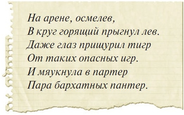 Боцман, бурундук, кот и крыса. Сказка для детей и всех остальных Боцман, бурундук, кот и крыса. Сказка для детей и всех остальных