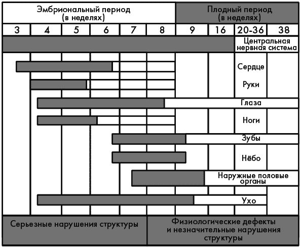 Первый год жизни решает все! 365 секретов правильного развития. Этот удивительный младенец Первый год жизни решает все! 365 секретов правильного развития. Этот удивительный младенец