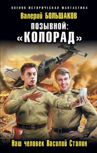 Позывной: «Колорад». Наш человек Василий Сталин - Валерий Большаков - Читать книги онлайн | Слушать аудиокниги онлайн | Электронная библиотека books-lib.com