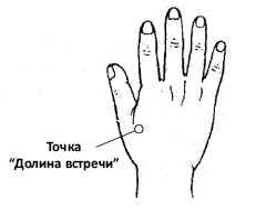 От сомнений к определенности. Опыт врача От сомнений к определенности. Опыт врача
