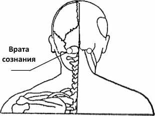 От сомнений к определенности. Опыт врача От сомнений к определенности. Опыт врача