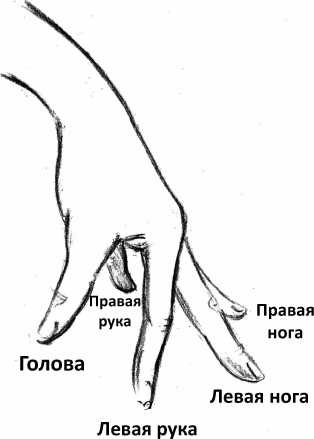 От сомнений к определенности. Опыт врача От сомнений к определенности. Опыт врача