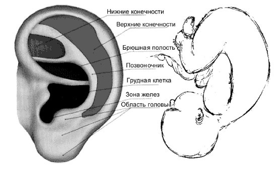 От сомнений к определенности. Опыт врача От сомнений к определенности. Опыт врача