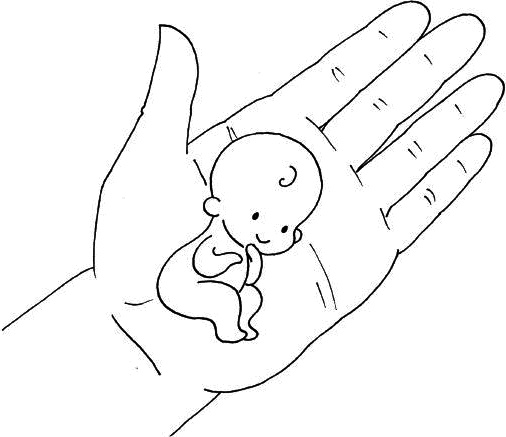 Ваш любимый человечек от зачатия до рождения Ваш любимый человечек от зачатия до рождения