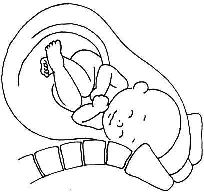 Ваш любимый человечек от зачатия до рождения Ваш любимый человечек от зачатия до рождения