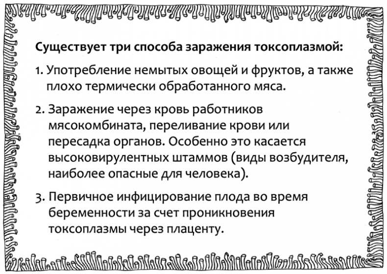Очаровательный кишечник. Как самый могущественный орган управляет нами Очаровательный кишечник. Как самый могущественный орган управляет нами