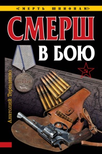 СМЕРШ в бою - Анатолий Терещенко - Читать книги онлайн | Слушать аудиокниги онлайн | Электронная библиотека books-lib.com