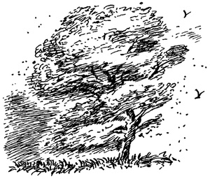 Квартет Дейлмарка. Книга 4. Корона Дейлмарка Квартет Дейлмарка. Книга 4. Корона Дейлмарка