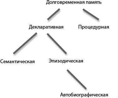 Мозг на пенсии. Научный взгляд на преклонный возраст Мозг на пенсии. Научный взгляд на преклонный возраст