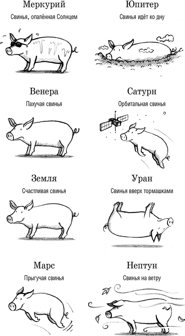 Джордж и Большой взрыв Джордж и Большой взрыв