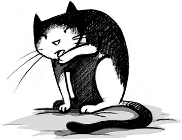 Джордж и Большой взрыв Джордж и Большой взрыв