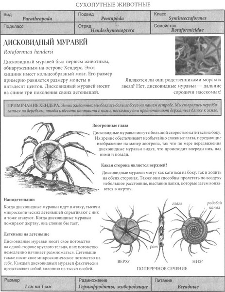 Фрагмент, Уоррен Фейхи Фрагмент, Уоррен Фейхи