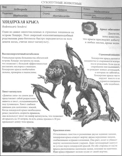 Фрагмент, Уоррен Фейхи Фрагмент, Уоррен Фейхи