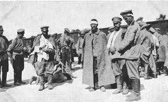 Сибирские полки на германском фронте в годы Первой Мировой войны Сибирские полки на германском фронте в годы Первой Мировой войны