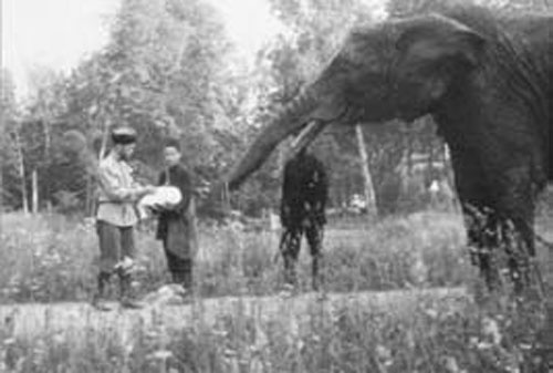Император Николай II. Жизнь, Любовь, Бессмертие Император Николай II. Жизнь, Любовь, Бессмертие