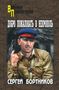 Добро пожаловать в Некрополь - Сергей Бортников - Читать книги онлайн | Слушать аудиокниги онлайн | Электронная библиотека books-lib.com