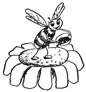 Защити свое тело-2. Оптимальное питание Защити свое тело-2. Оптимальное питание