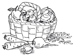 Защити свое тело-2. Оптимальное питание Защити свое тело-2. Оптимальное питание