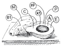 Защити свое тело-2. Оптимальное питание Защити свое тело-2. Оптимальное питание