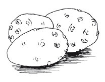 Защити свое тело-2. Оптимальное питание Защити свое тело-2. Оптимальное питание