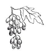 Защити свое тело-2. Оптимальное питание Защити свое тело-2. Оптимальное питание