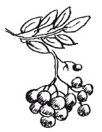 Защити свое тело-2. Оптимальное питание Защити свое тело-2. Оптимальное питание