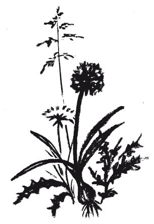 Защити свое тело-2. Оптимальное питание Защити свое тело-2. Оптимальное питание