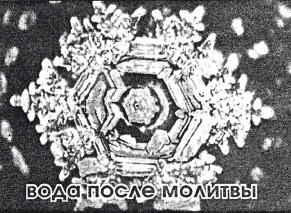 Защити свое тело. Оптимальные методы очищения, укрепления и оздоровления Защити свое тело. Оптимальные методы очищения, укрепления и оздоровления