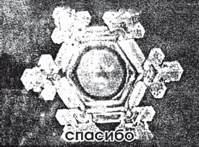 Защити свое тело. Оптимальные методы очищения, укрепления и оздоровления Защити свое тело. Оптимальные методы очищения, укрепления и оздоровления