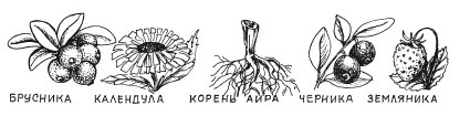 Защити свое тело. Оптимальные методы очищения, укрепления и оздоровления Защити свое тело. Оптимальные методы очищения, укрепления и оздоровления