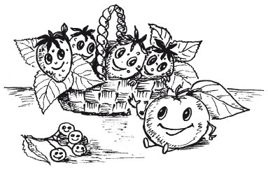 Защити свое тело. Оптимальные методы очищения, укрепления и оздоровления Защити свое тело. Оптимальные методы очищения, укрепления и оздоровления