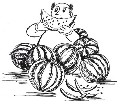 Защити свое тело. Оптимальные методы очищения, укрепления и оздоровления Защити свое тело. Оптимальные методы очищения, укрепления и оздоровления