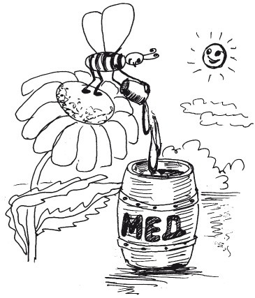 Защити свое тело. Оптимальные методы очищения, укрепления и оздоровления Защити свое тело. Оптимальные методы очищения, укрепления и оздоровления