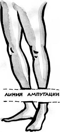 Питание и долголетие Питание и долголетие