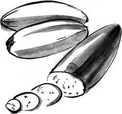 Питание и долголетие Питание и долголетие