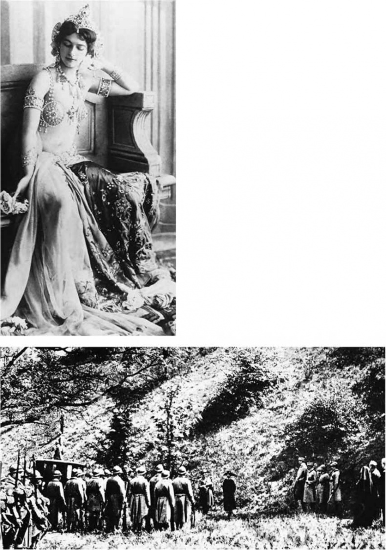 Гитлеровская машина шпионажа. Военная и политическая разведка Третьего рейха. 1933-1945 Гитлеровская машина шпионажа. Военная и политическая разведка Третьего рейха. 1933-1945