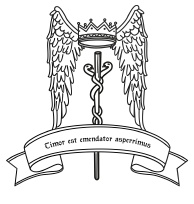 Таро Ангелов-Хранителей. Помощники и защитники человека.