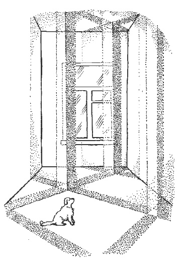 Полное очищение: Исцеление тела, души, жизни