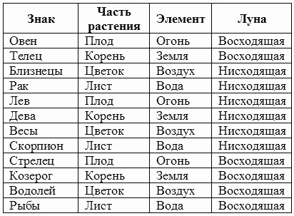 Луна и цветущий сад Луна и цветущий сад