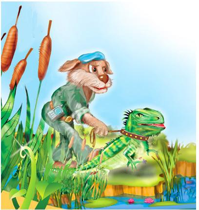 Тайна летающей тарелки и другие весёлые дачные истории Тайна летающей тарелки и другие весёлые дачные истории